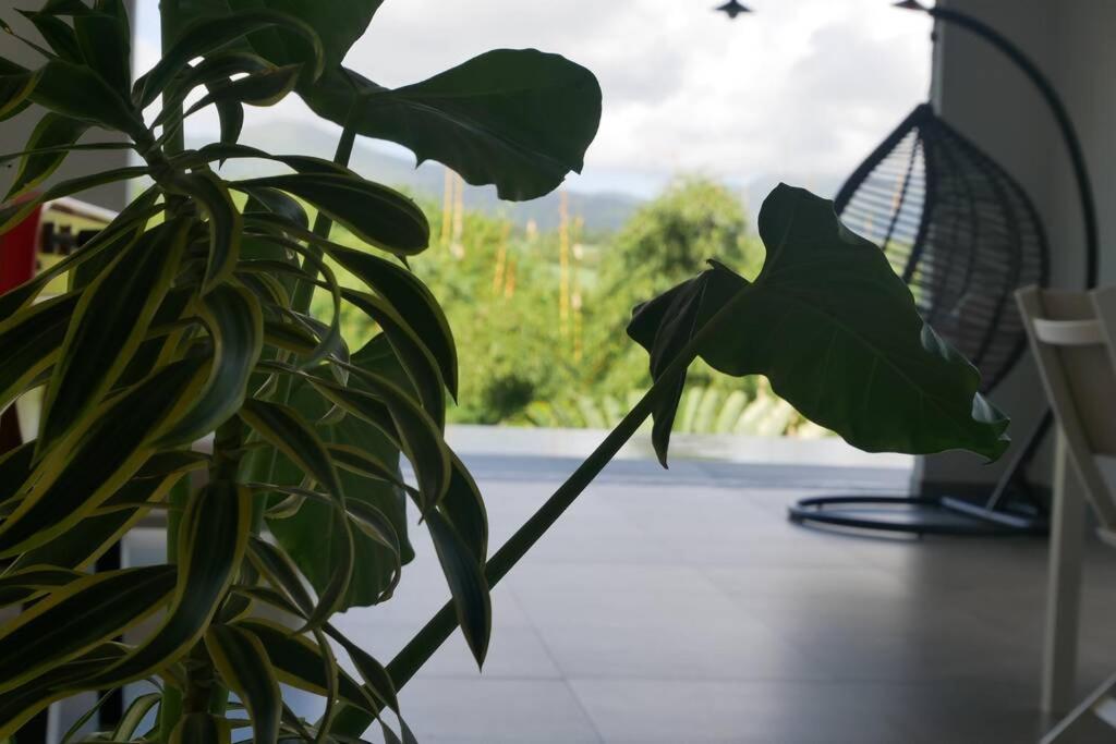 Villa Kumquat Avec Piscine Et Vue Sur Les Montagnes Petit-Bourg Buitenkant foto