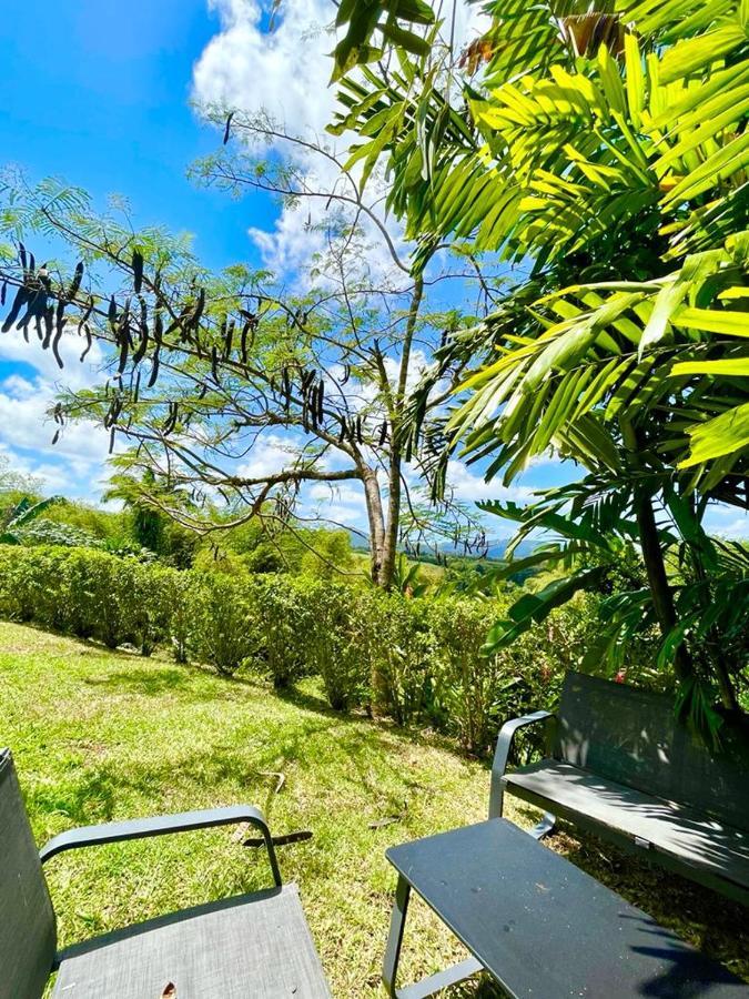 Villa Kumquat Avec Piscine Et Vue Sur Les Montagnes Petit-Bourg Buitenkant foto